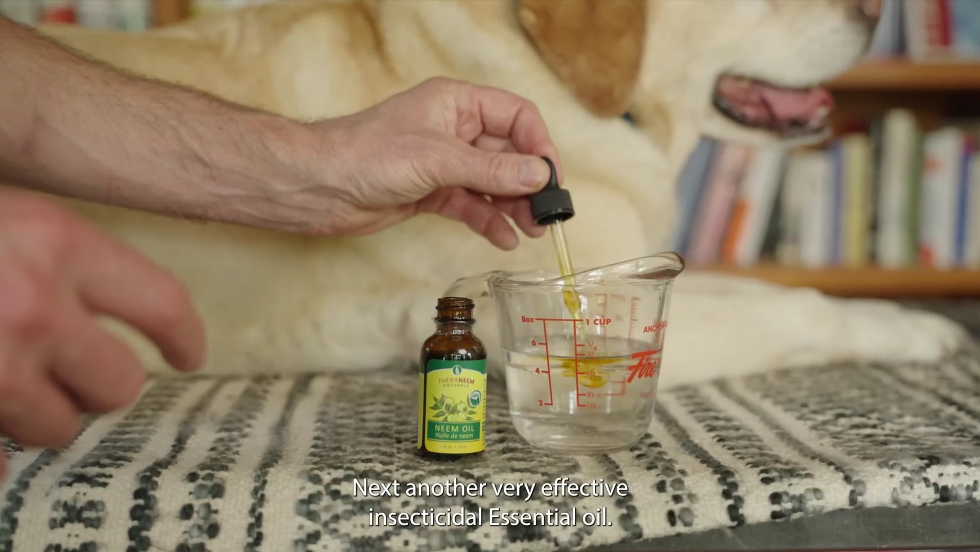 Flea and Tick remedy for dogs