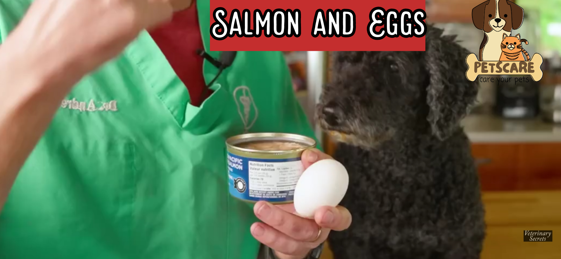 7 Human Foods Safe for dogs