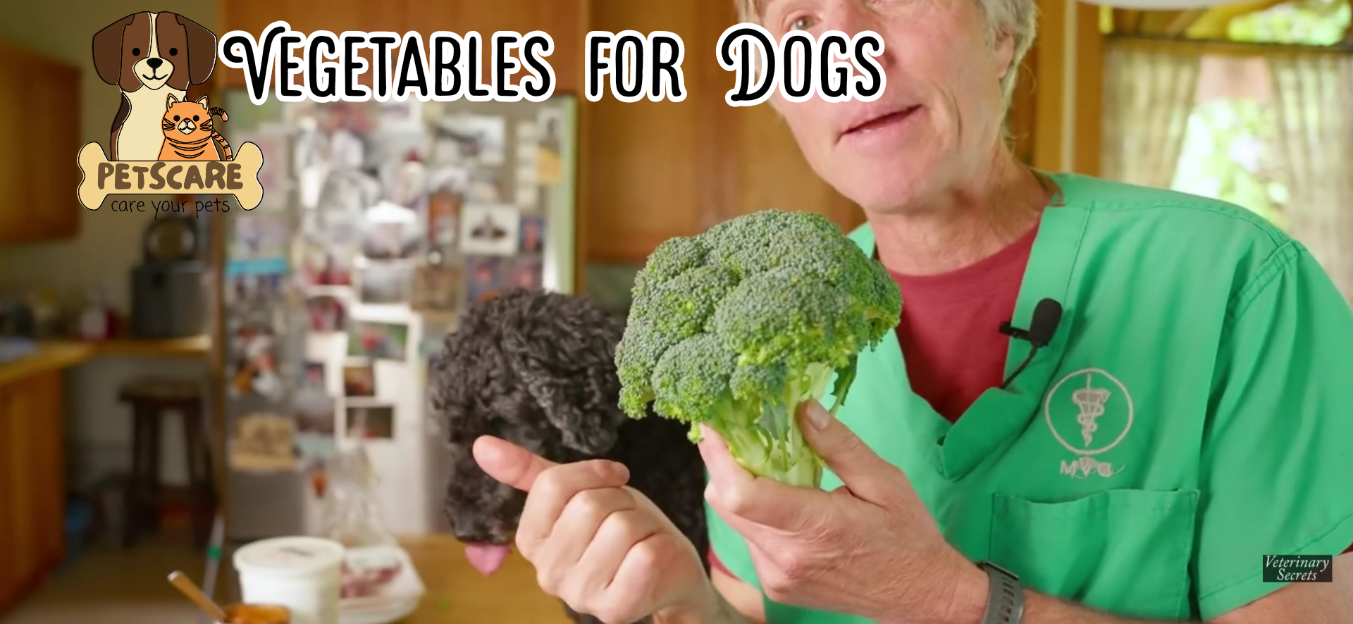 7 Human Foods Safe for dogs