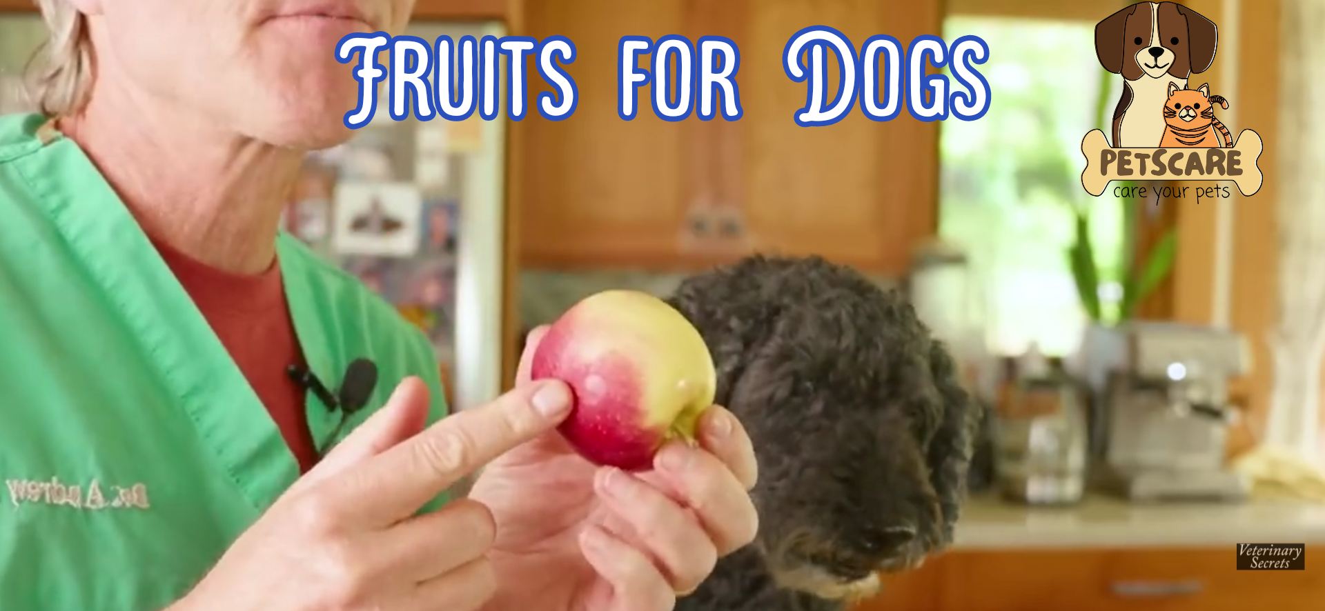 7 Human Foods Safe for dogs