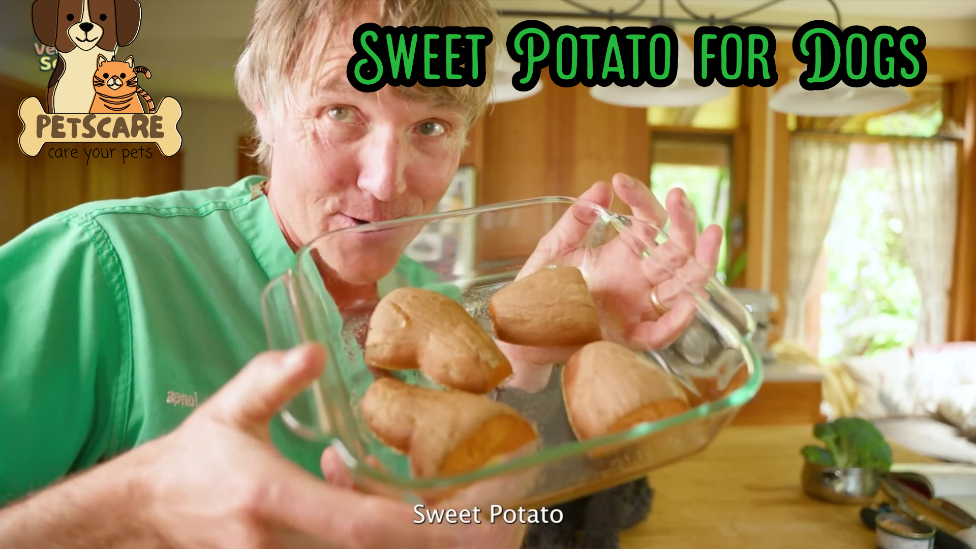 Sweet Potato for Dogs