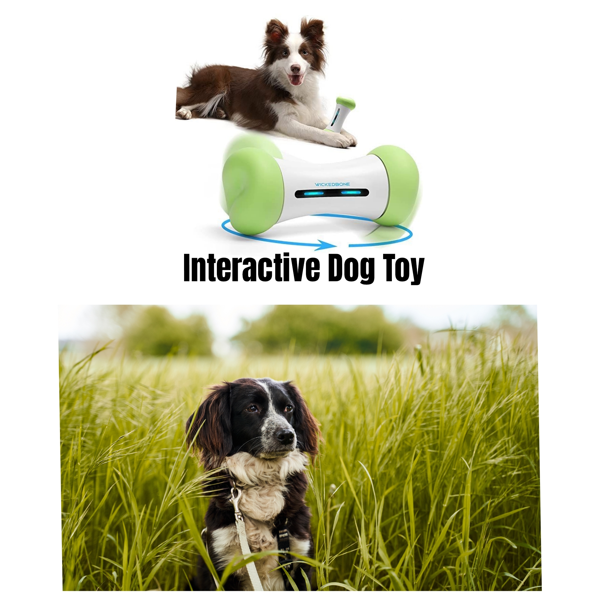 Wicked Bone: Interactive Dog Toy with Bluetooth Control