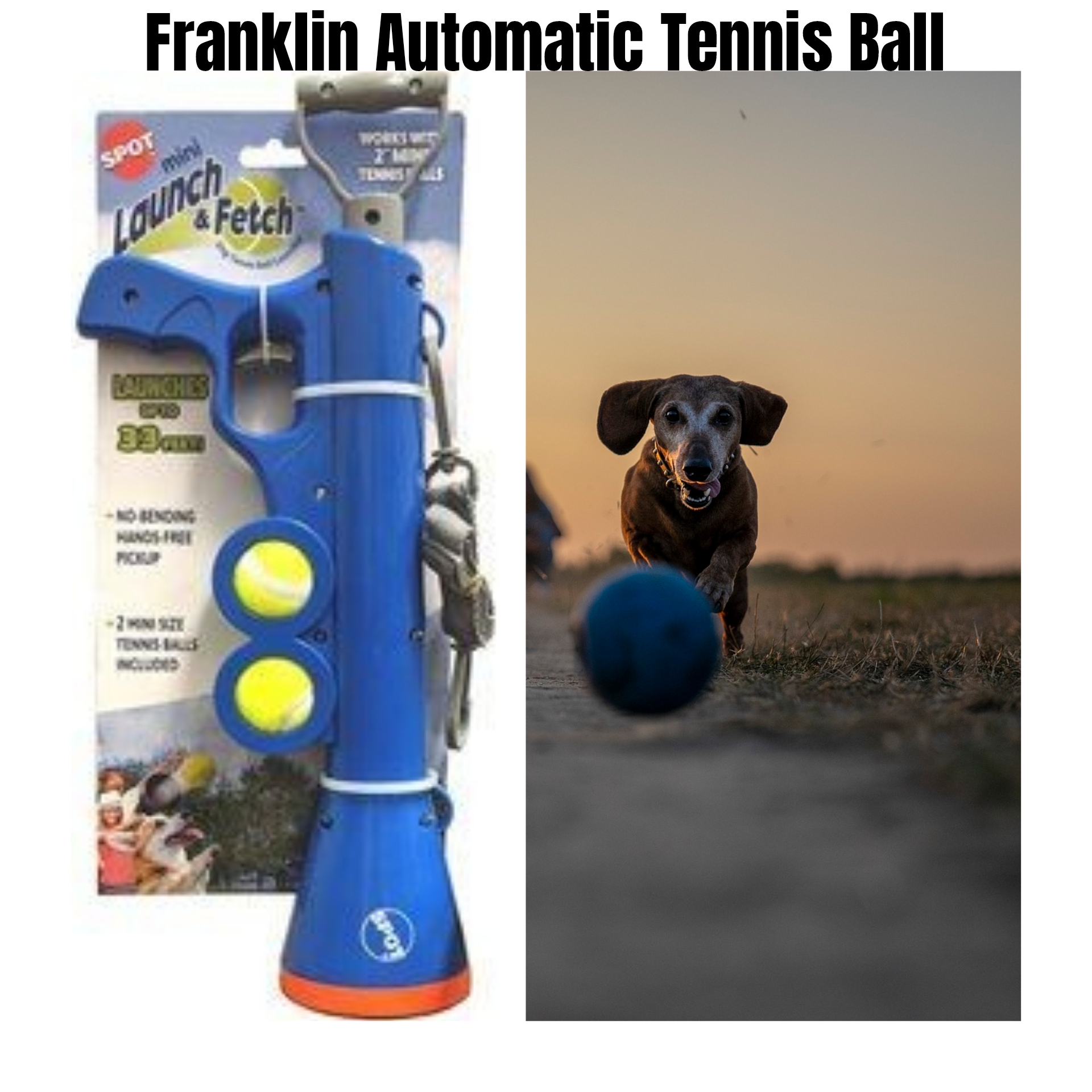 Franklin Automatic Tennis Ball Launcher: Hands-Free Fetch To.