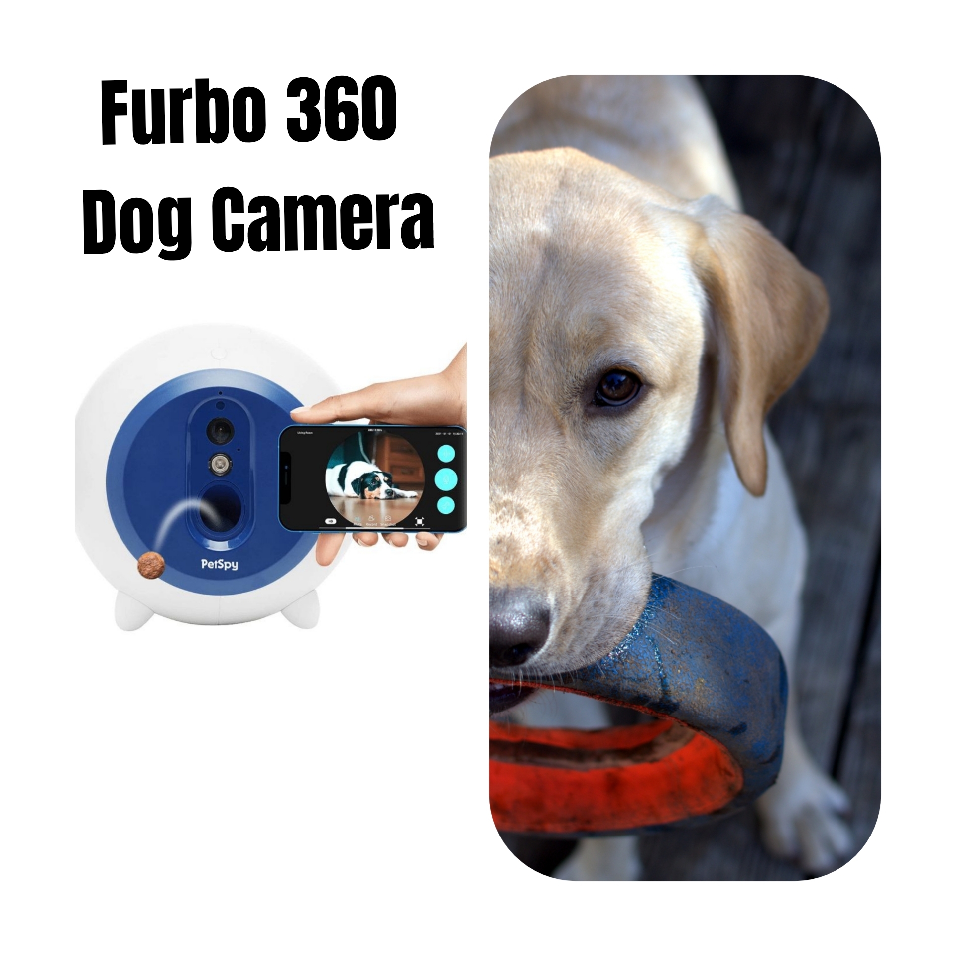 Furbo 360 Dog Camera: Interactive Pet Camera with Treat Dispenser