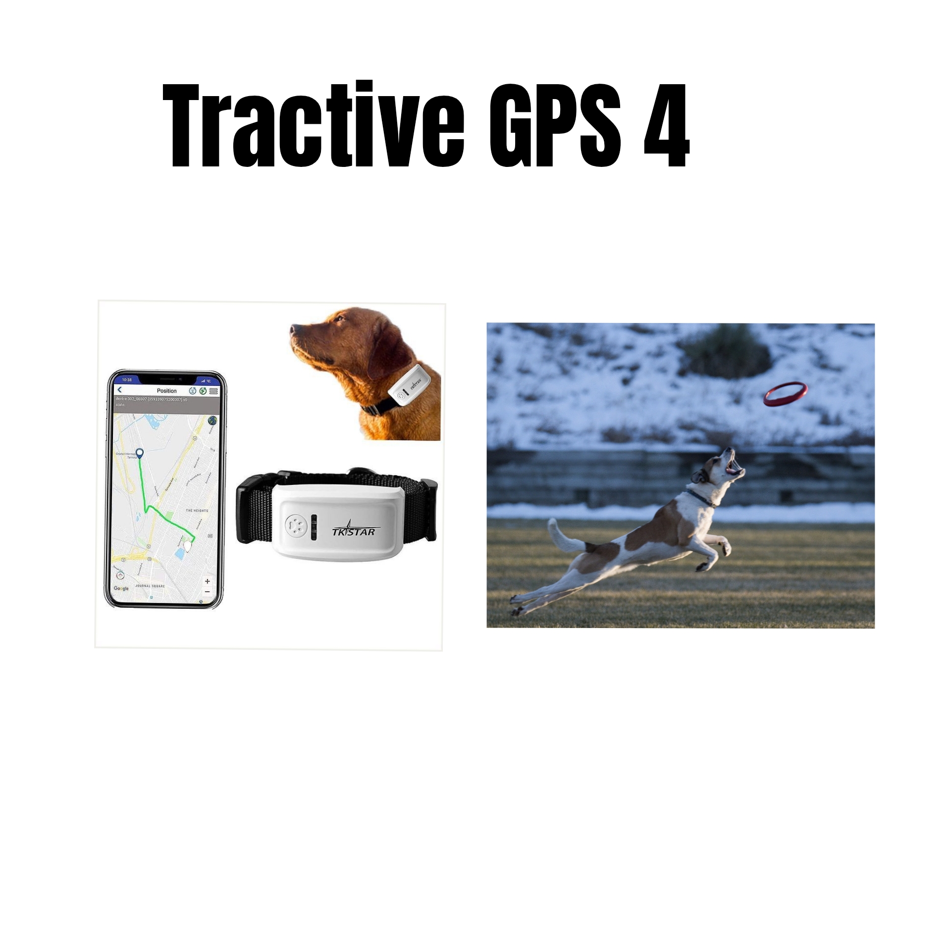 Tractive GPS 4: Advanced GPS Tracker for Pets