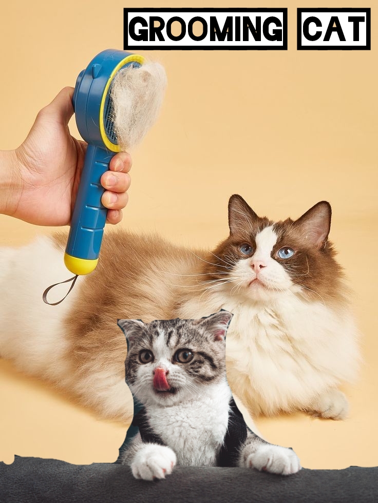 Grooming: How to Keep Your Cat Healthy and Happy