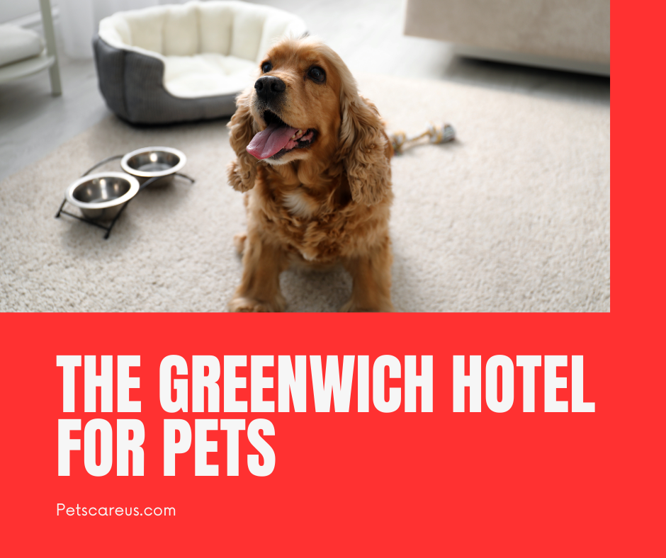 The Greenwich Hotel - New York City