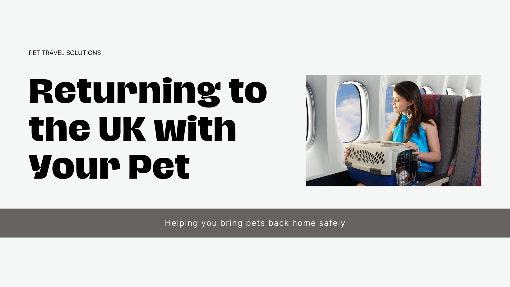 Returning to the UK with Your Pet