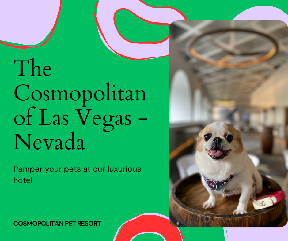 The Cosmopolitan of Las Vegas - Nevada