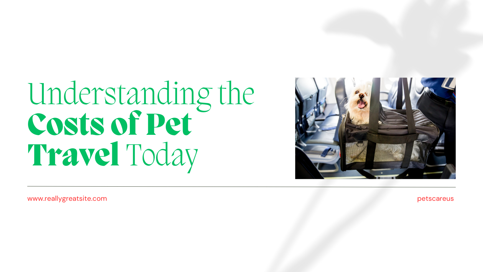 Understanding-the-Costs-of-Pet-Travel-Today