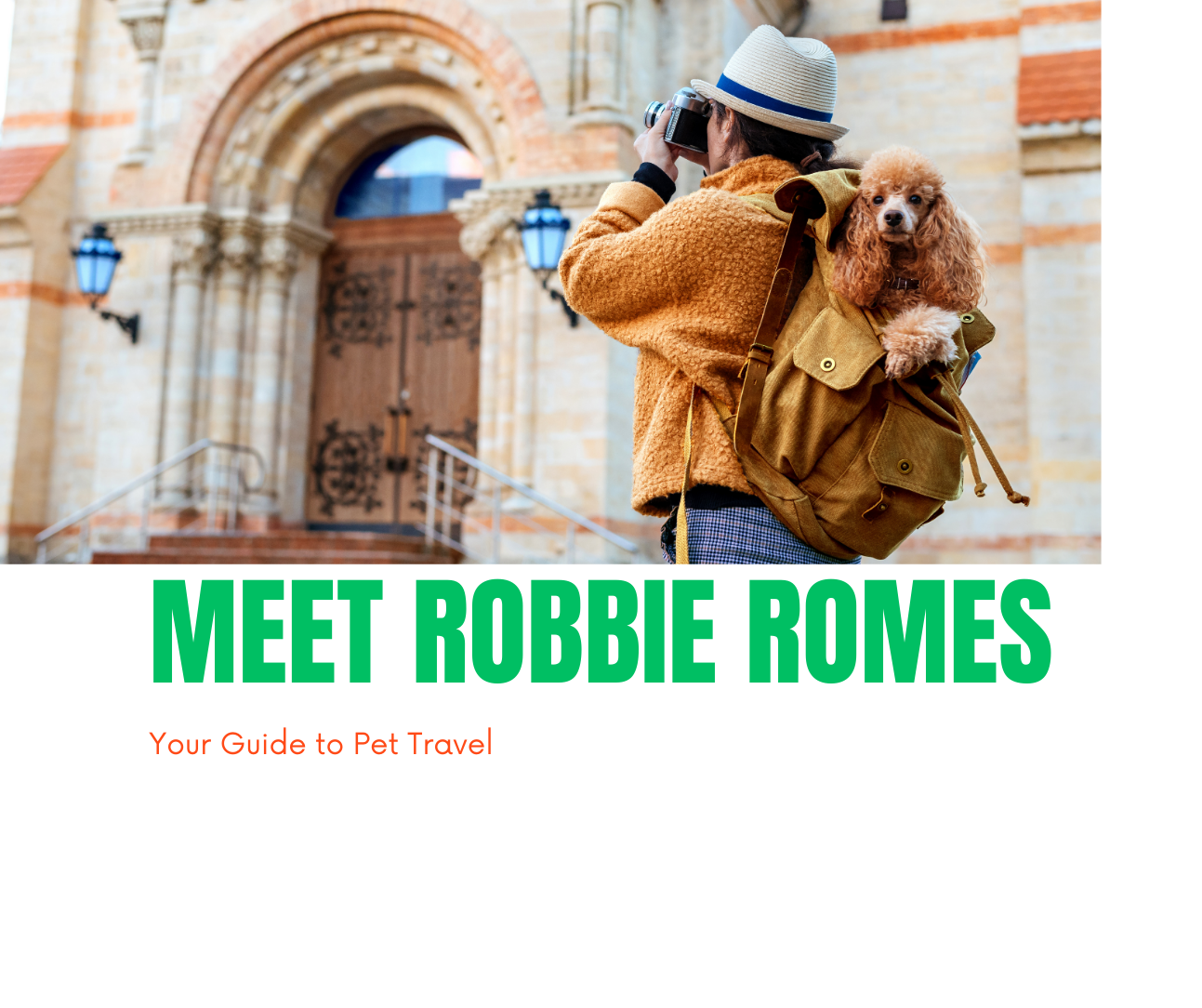 Meet Robbie Romes, Your Guide to Pet Travel